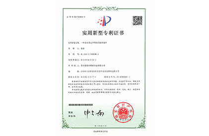 Patent certificate 9789896